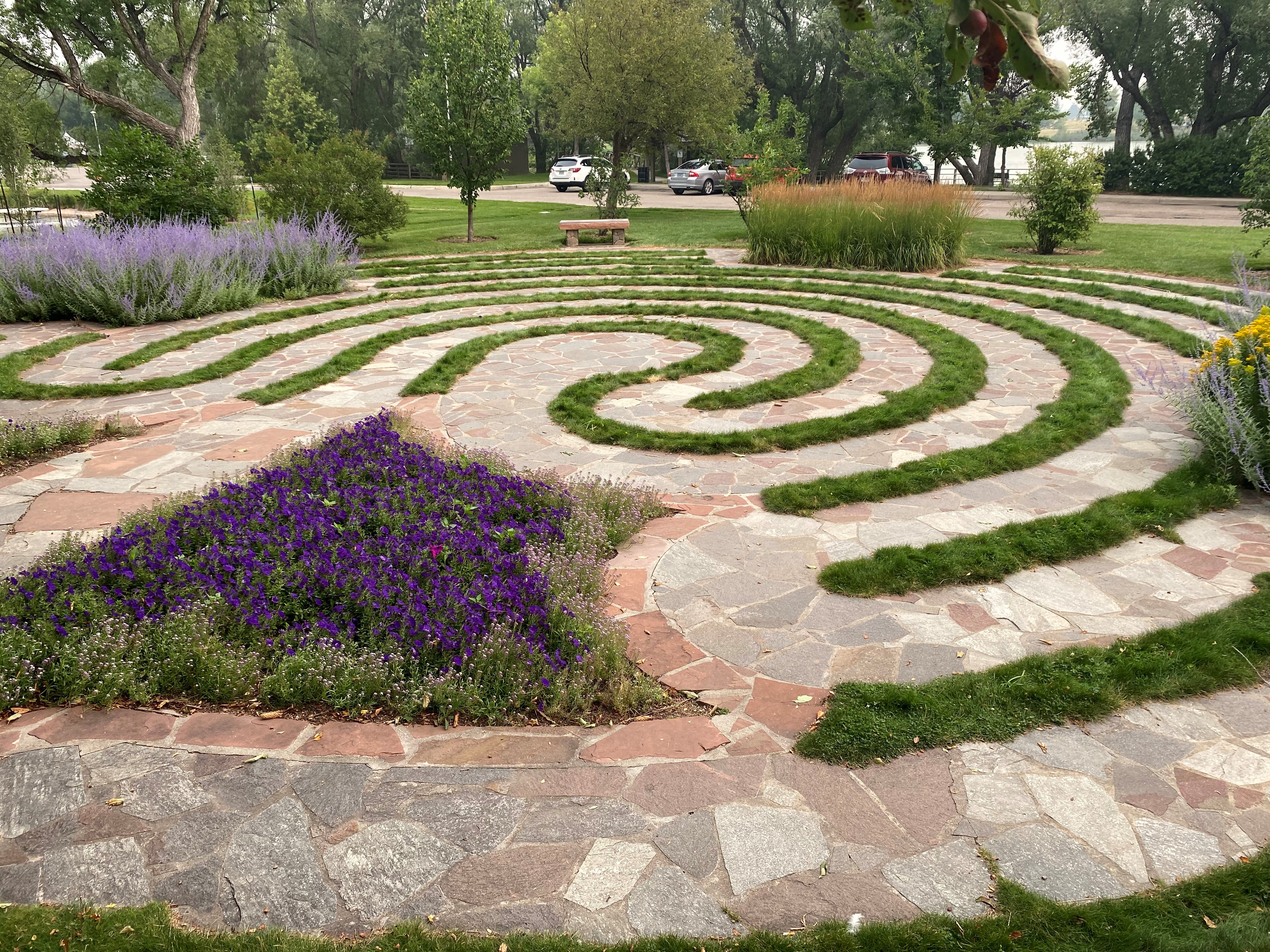 Gardening resolutions for the new year